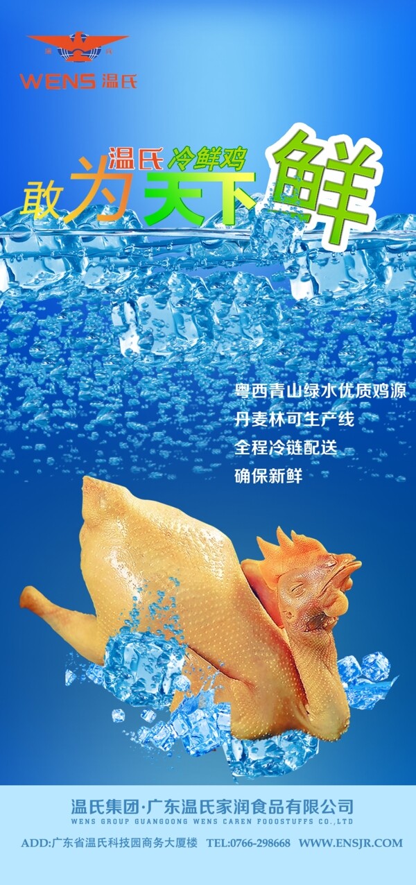 雞肉雞新鮮雞肉圖片