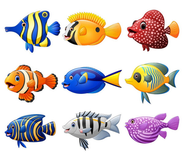 各類(lèi)海魚(yú)漫畫(huà)圖片
