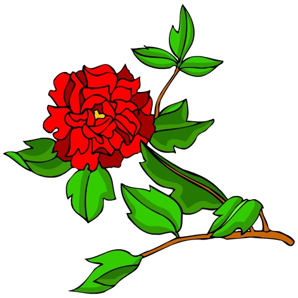花卉古典插畫