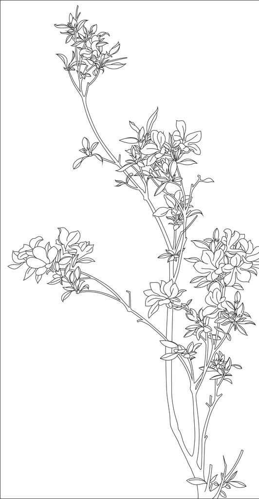 杜鵑花圖片