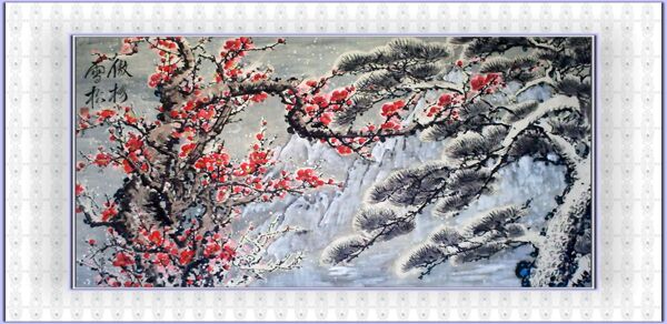 雪松傲梅圖片