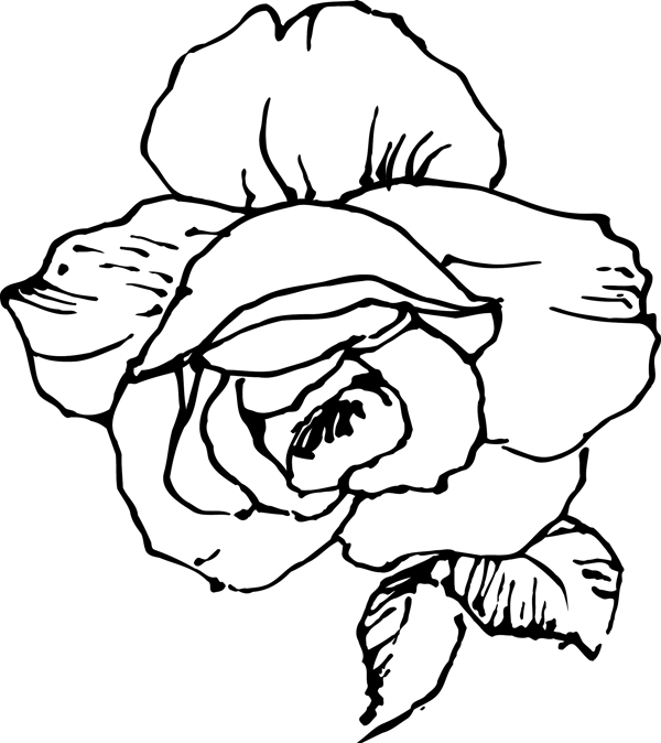 韓國精美花草圖案矢量圖025