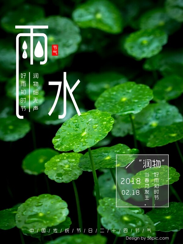 绿色植物水滴雨水中国二十四节气节日海报