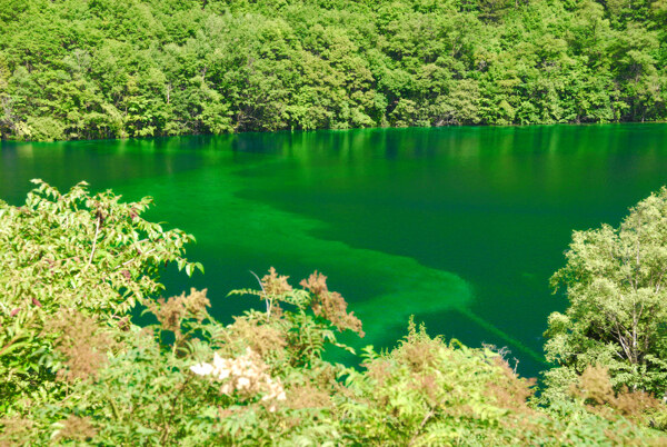 九寨溝綠色海子圖片