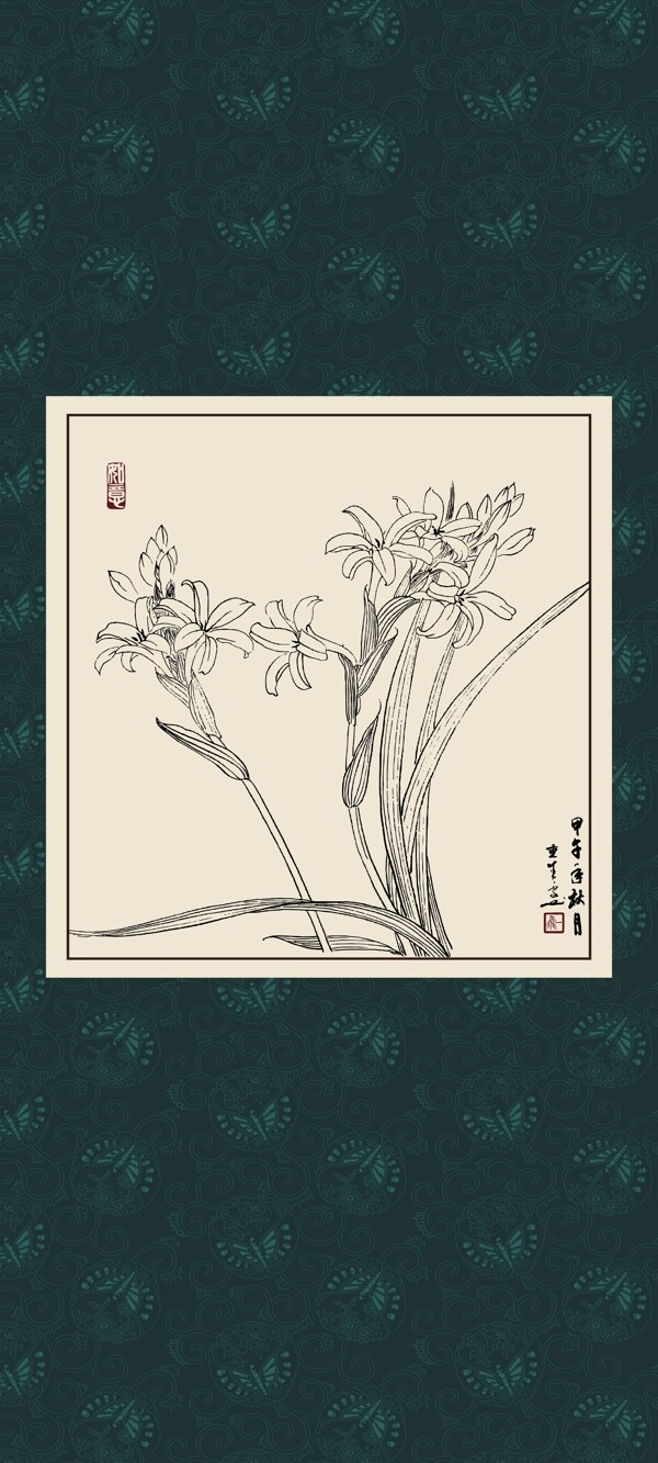 白描蘭花