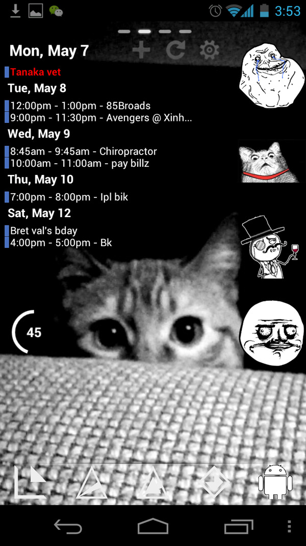 meowface