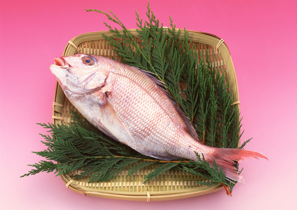 小魚圖片