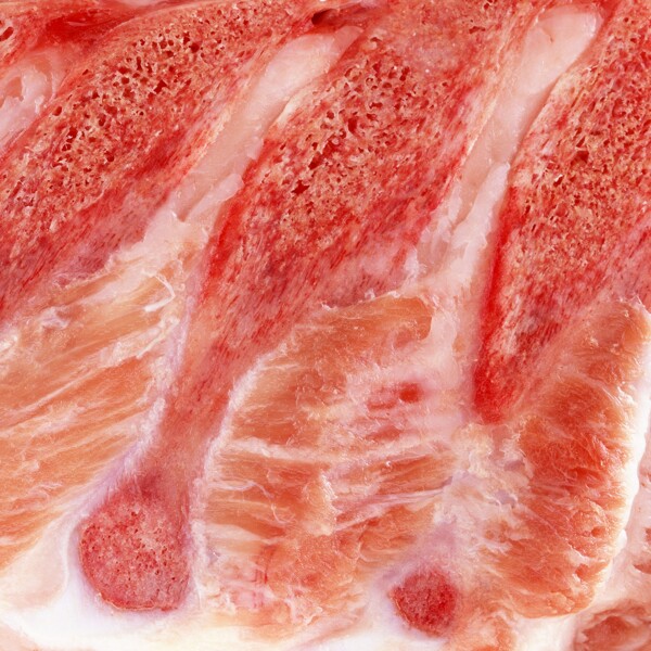肉類背景