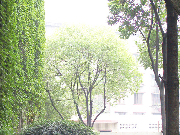 家裝客廳裝飾設(shè)計效果圖