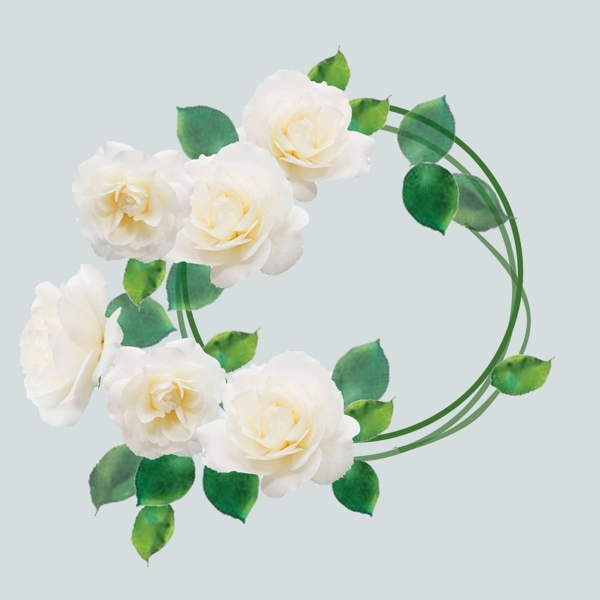 白玫瑰花素雅小清新圆边框