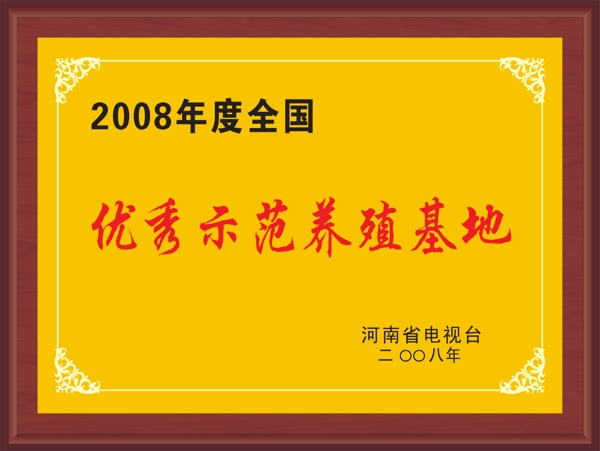 榮譽證書圖片