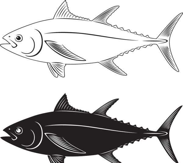 矢量魚圖片