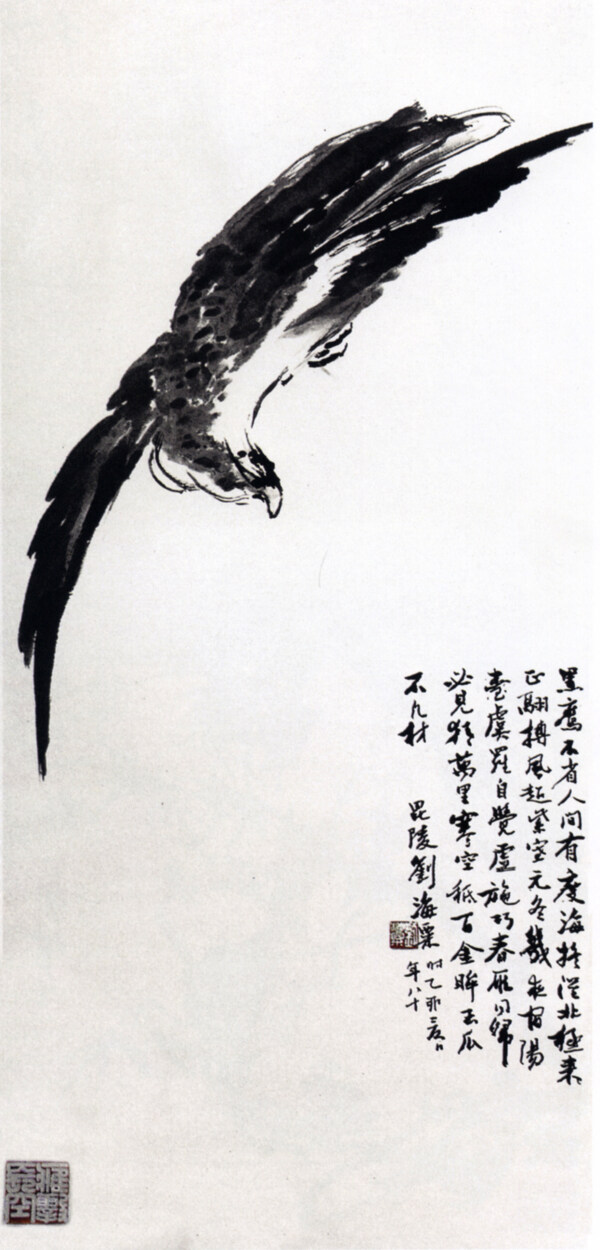 墨鷹