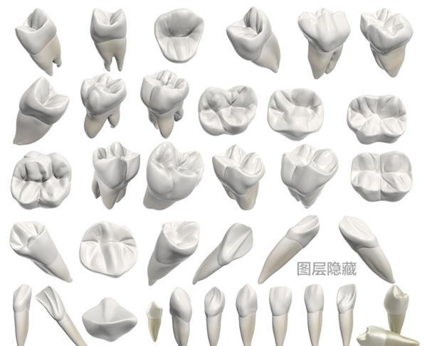 3D牙齒
