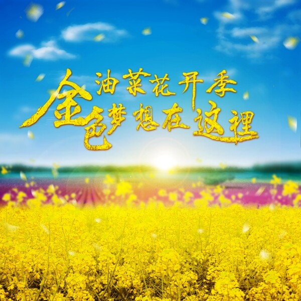 金色夢想油菜花