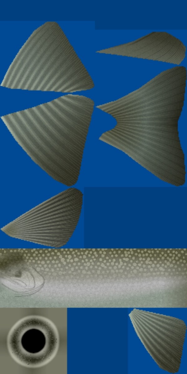 動(dòng)物魚類3d模型動(dòng)植物模型免費(fèi)下載動(dòng)物3d模型1