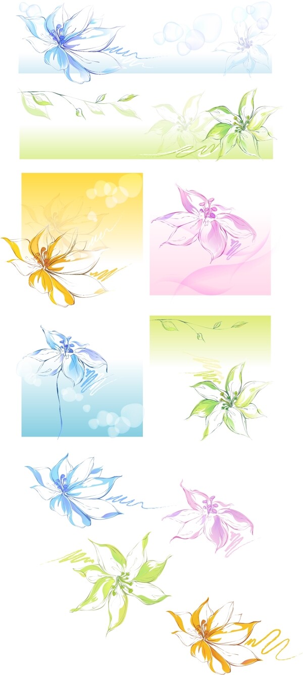 線條花紋