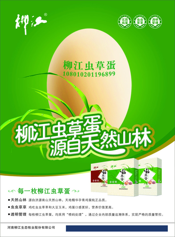 雞蛋海報(bào)