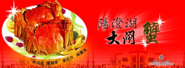 大閘蟹圖片