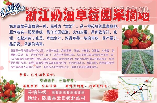草莓种植海报