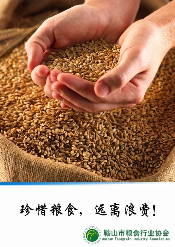 節(jié)約糧食展板圖片