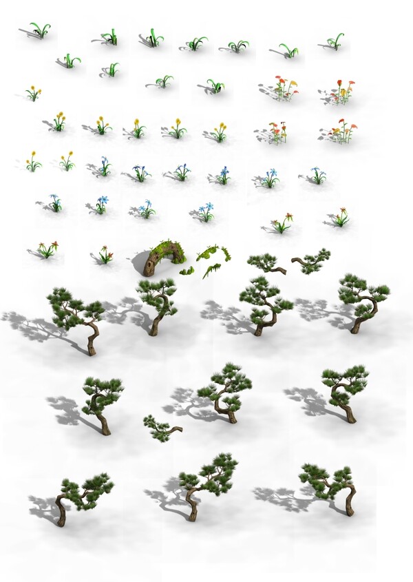 小花手繪松樹(shù)圖片
