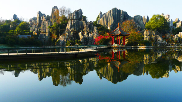 云南石林自然公园图片