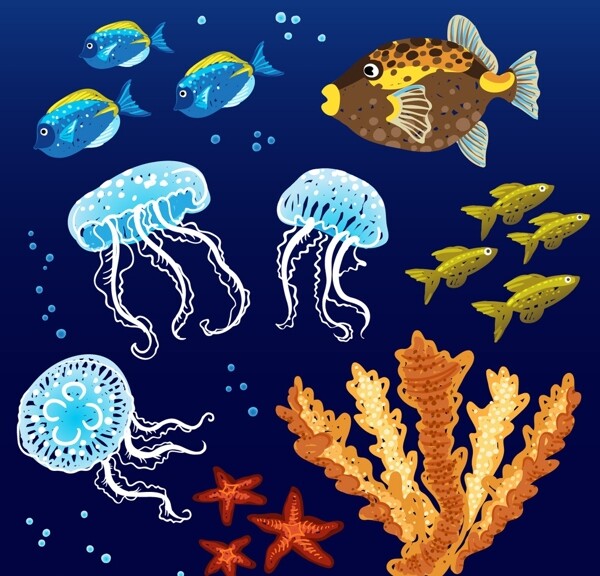 海底世界圖片