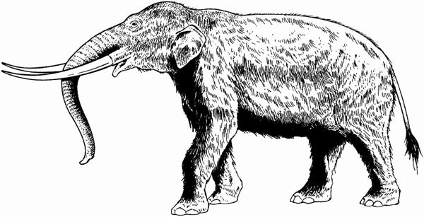 遠(yuǎn)古時(shí)代的動(dòng)物恐龍手繪畫動(dòng)物素描