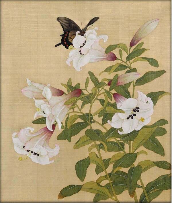 唯美工筆花鳥圖片