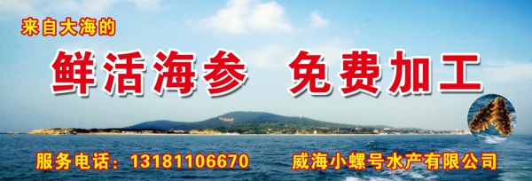 海參