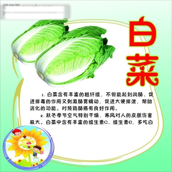 白菜
