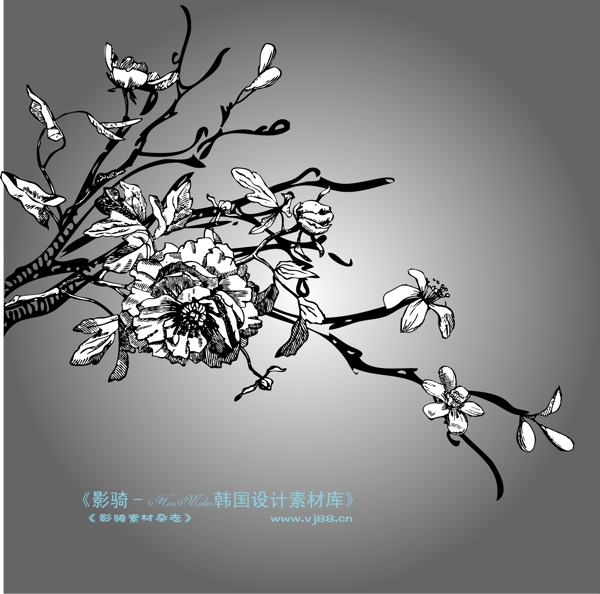 精品花紋圖藤韓國花紋時尚花紋底紋矢量素材矢量圖片HanMaker韓國設(shè)計(jì)素材庫