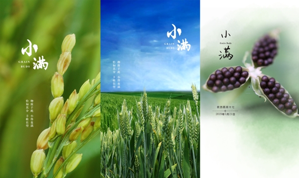 小滿
