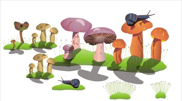 蘑菇广告3D