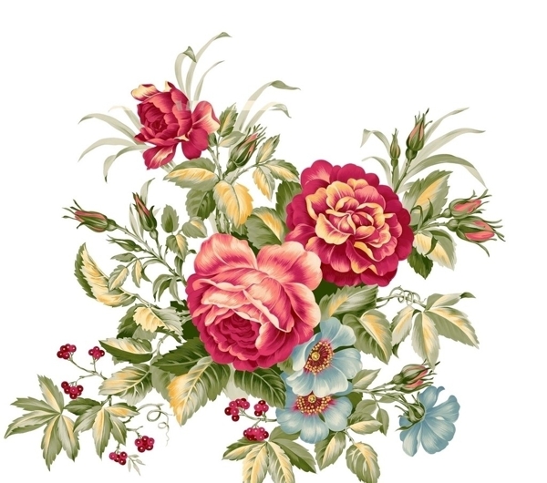超清晰百合花花朵圖片