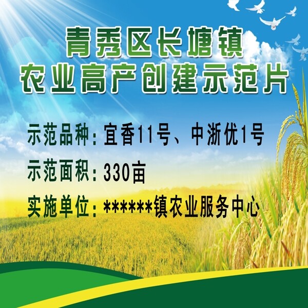 農(nóng)業(yè)高產(chǎn)創(chuàng)建示范片圖片