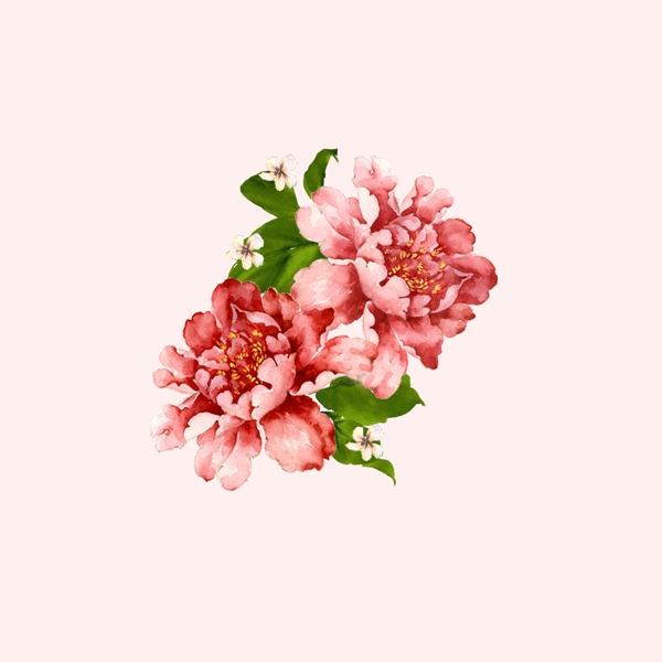 位圖psd植物花朵免費素材