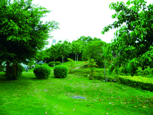 廈門軟件園二期風(fēng)景圖片