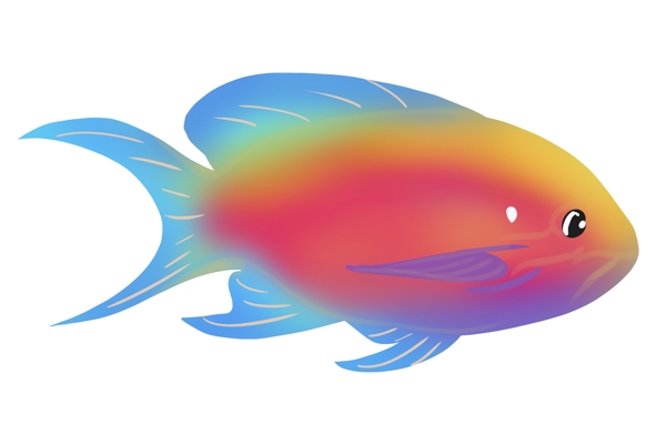 彩色鱼类生物