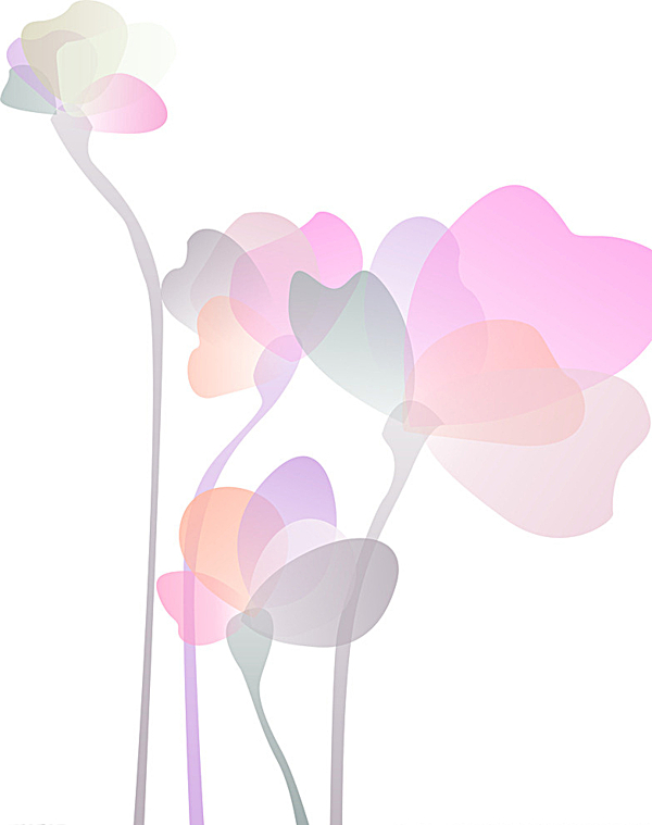 組合花圖片