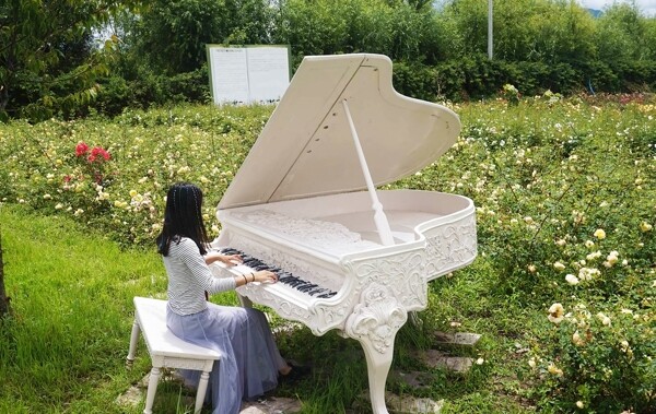 花中钢琴