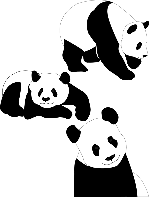 黑色的熊貓