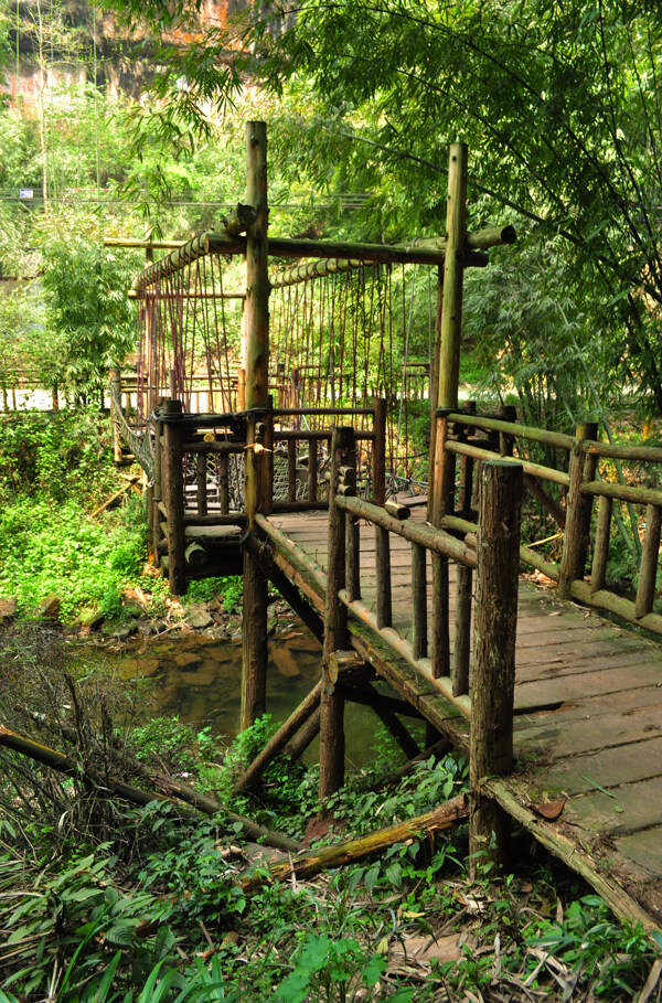 平樂竹海觀景臺(tái)圖片