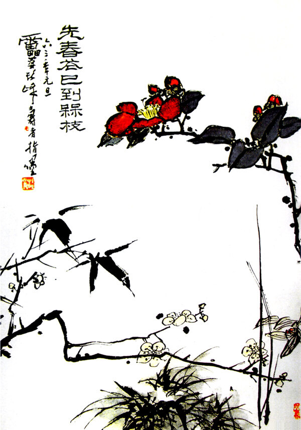 春枝圖片