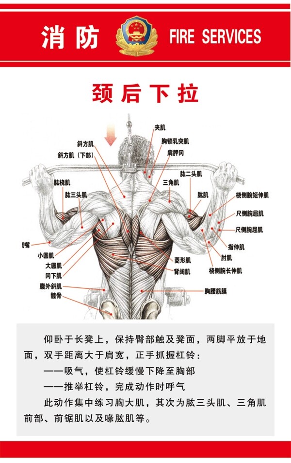 頸后下拉圖片