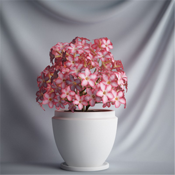 植物花3D模型素材