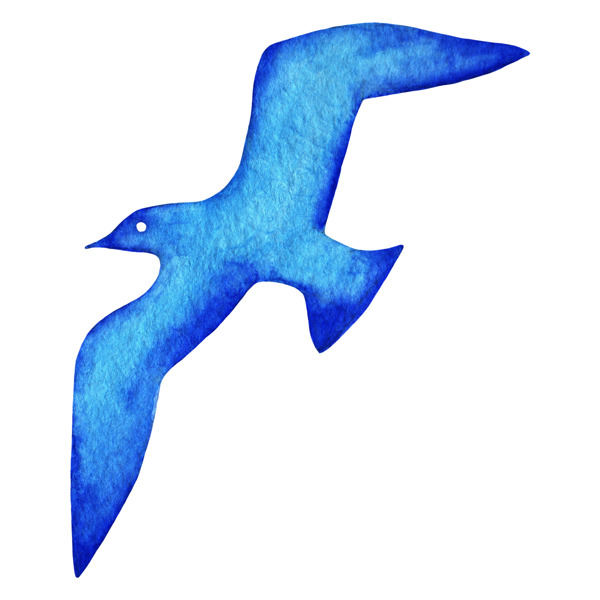 自由翱翔蓝色发光海鸥图片素材