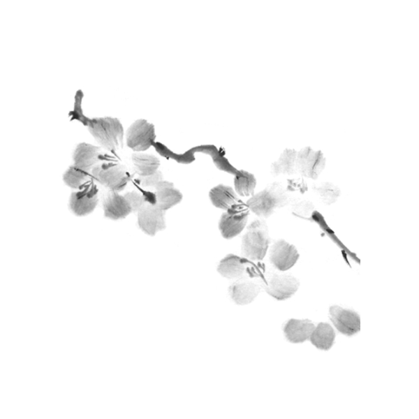 中國(guó)風(fēng)梅花裝飾元素