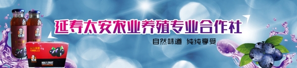 網(wǎng)站banner